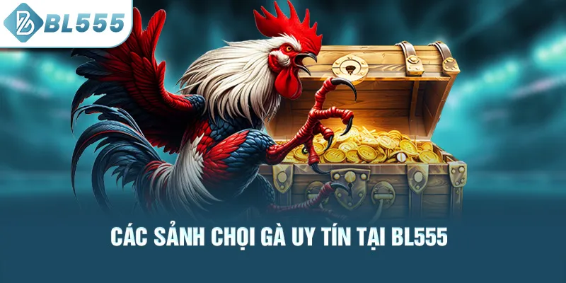 Các sảnh chọi gà uy tín tại bl555