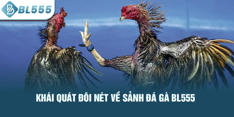 Khái quát đôi nét về sảnh đá gà bl555