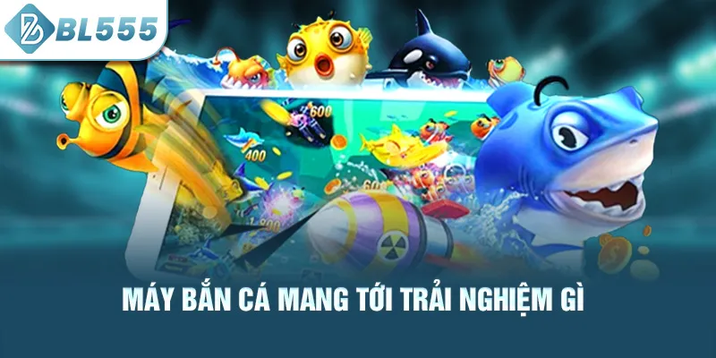 may-ban-ca-mang-toi-trai-nghiem-gi_37