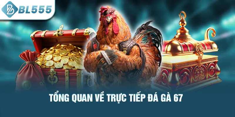 tong-quan-ve-truc-tiep-da-ga-67_52